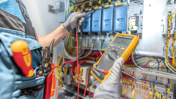 Best Electric Panel Repair  in Clayco, MO